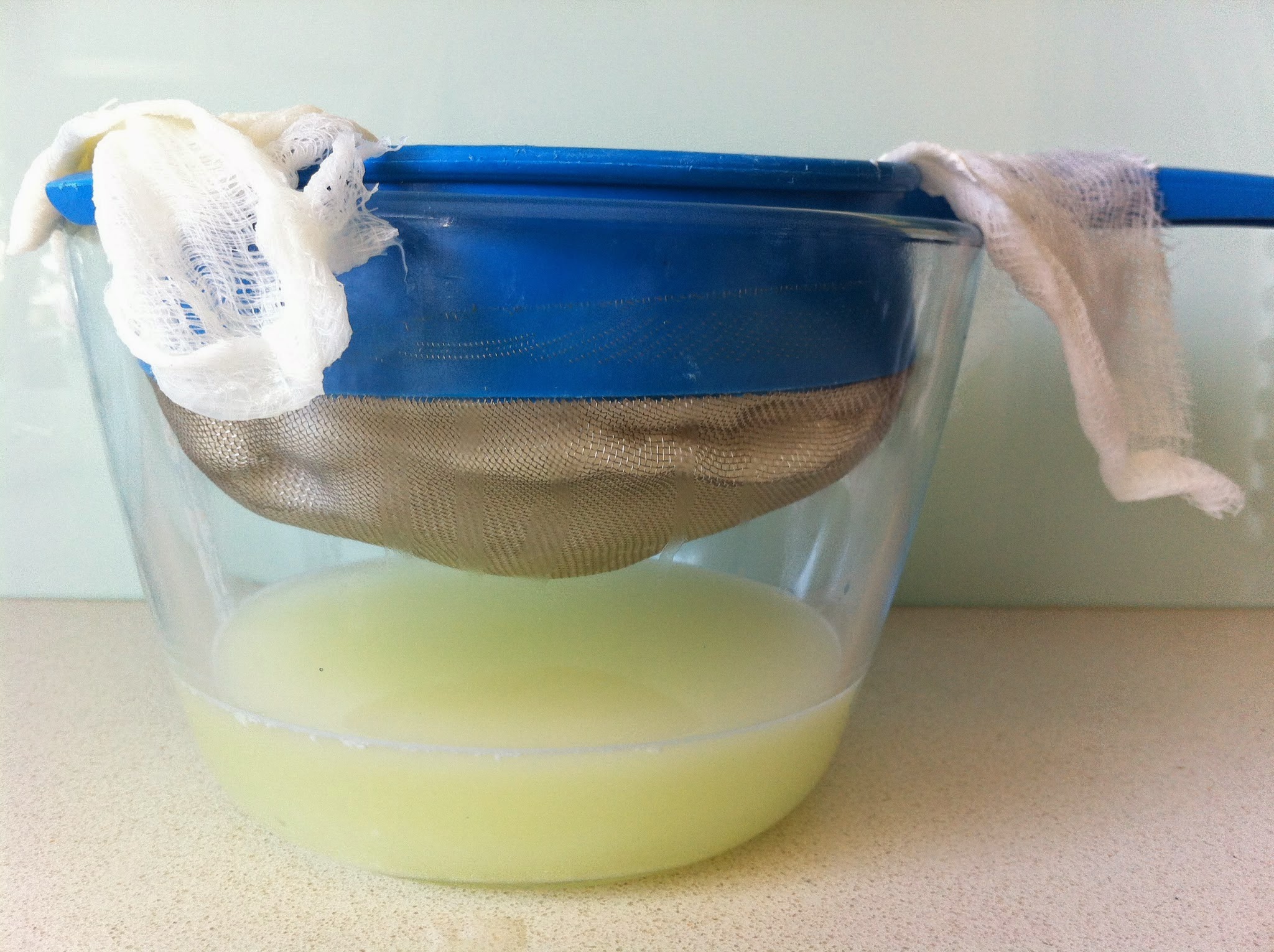 Adventures in homemade yoghurt
